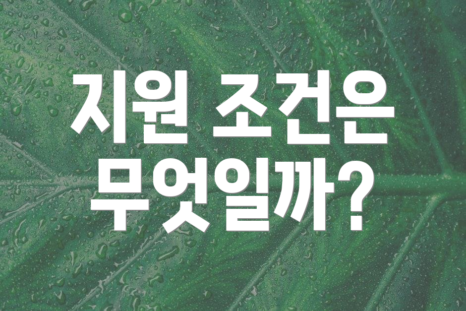 지원 조건은 무엇일까?