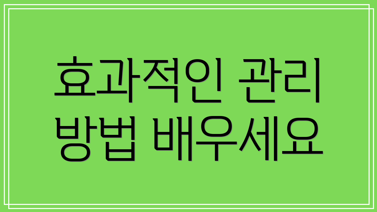 효과적인 관리 방법 배우세요