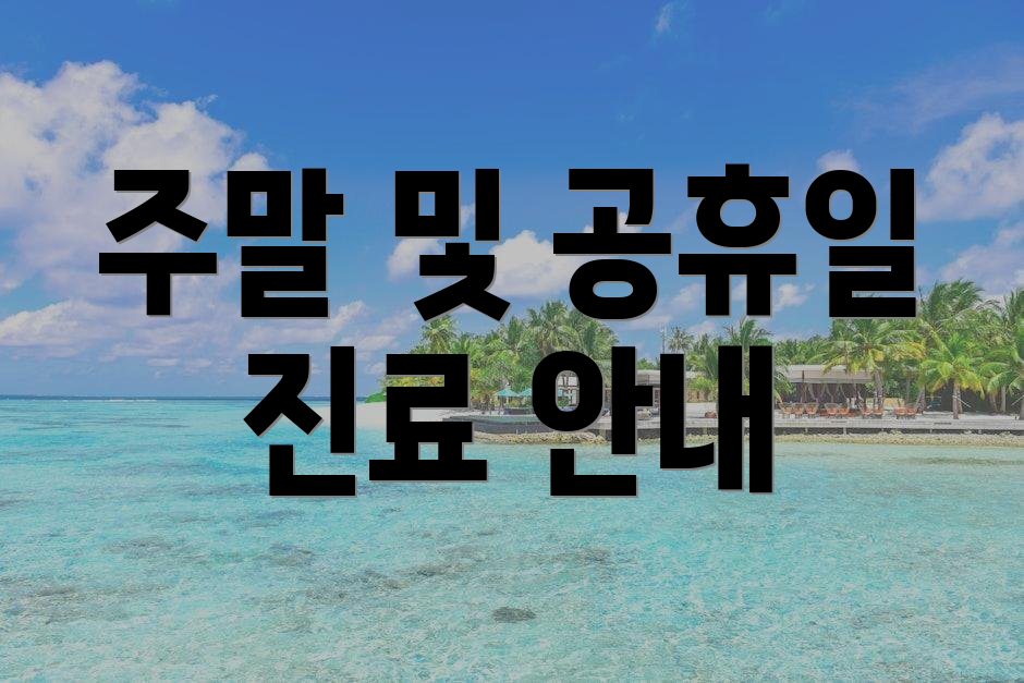 주말 및 공휴일 진료 안내