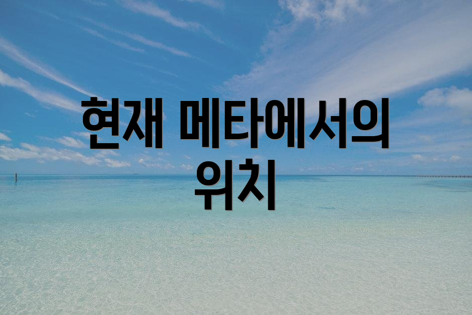 현재 메타에서의 위치