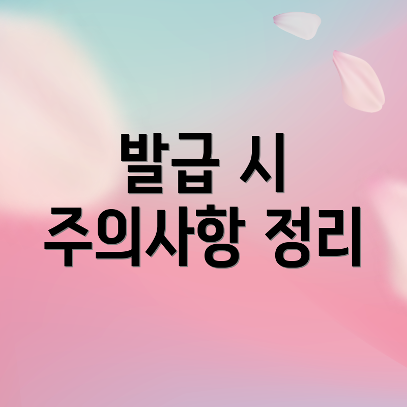 발급 시 주의사항 정리