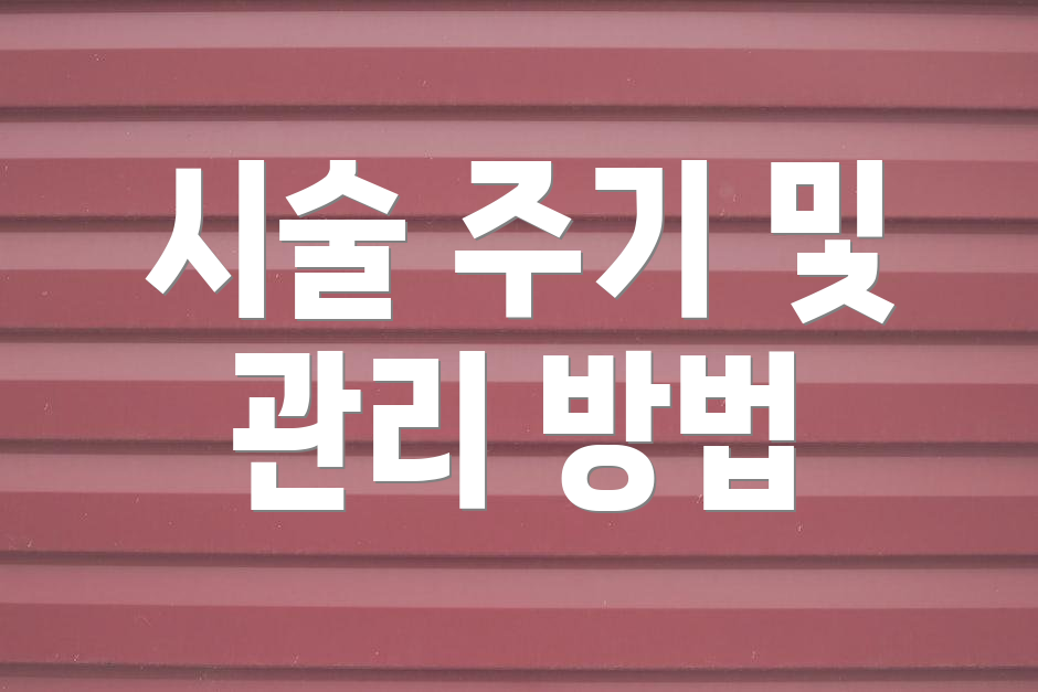 시술 주기 및 관리 방법