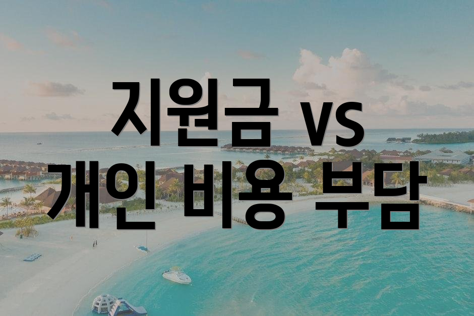 지원금 vs 개인 비용 부담