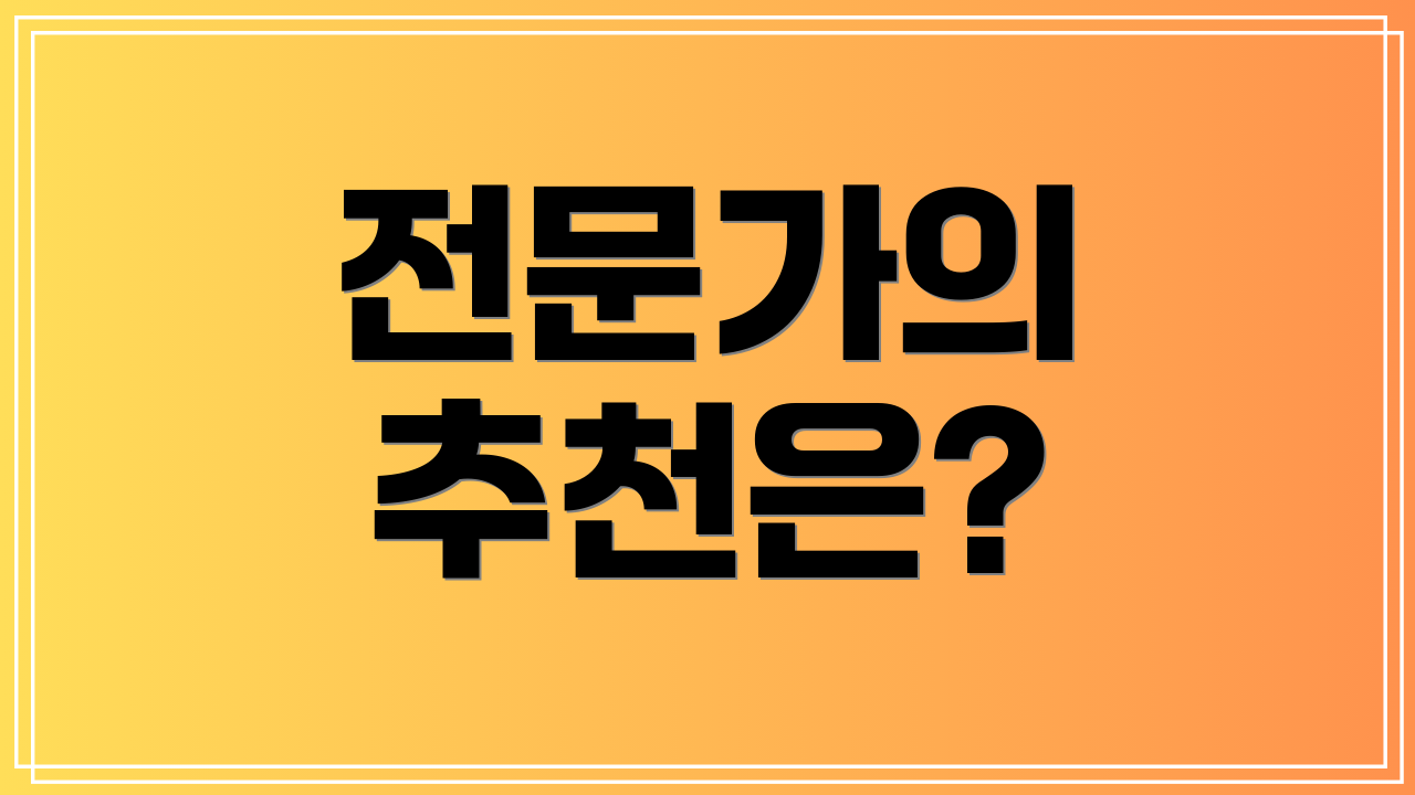 전문가의 추천은?