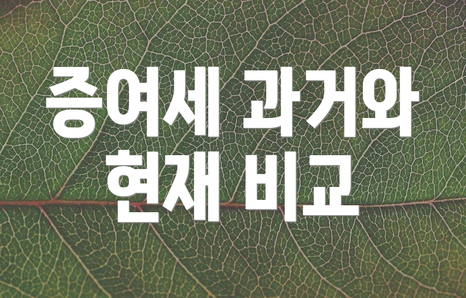 증여세 과거와 현재 비교