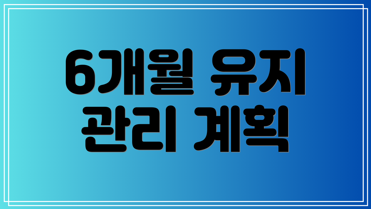 6개월 유지 관리 계획