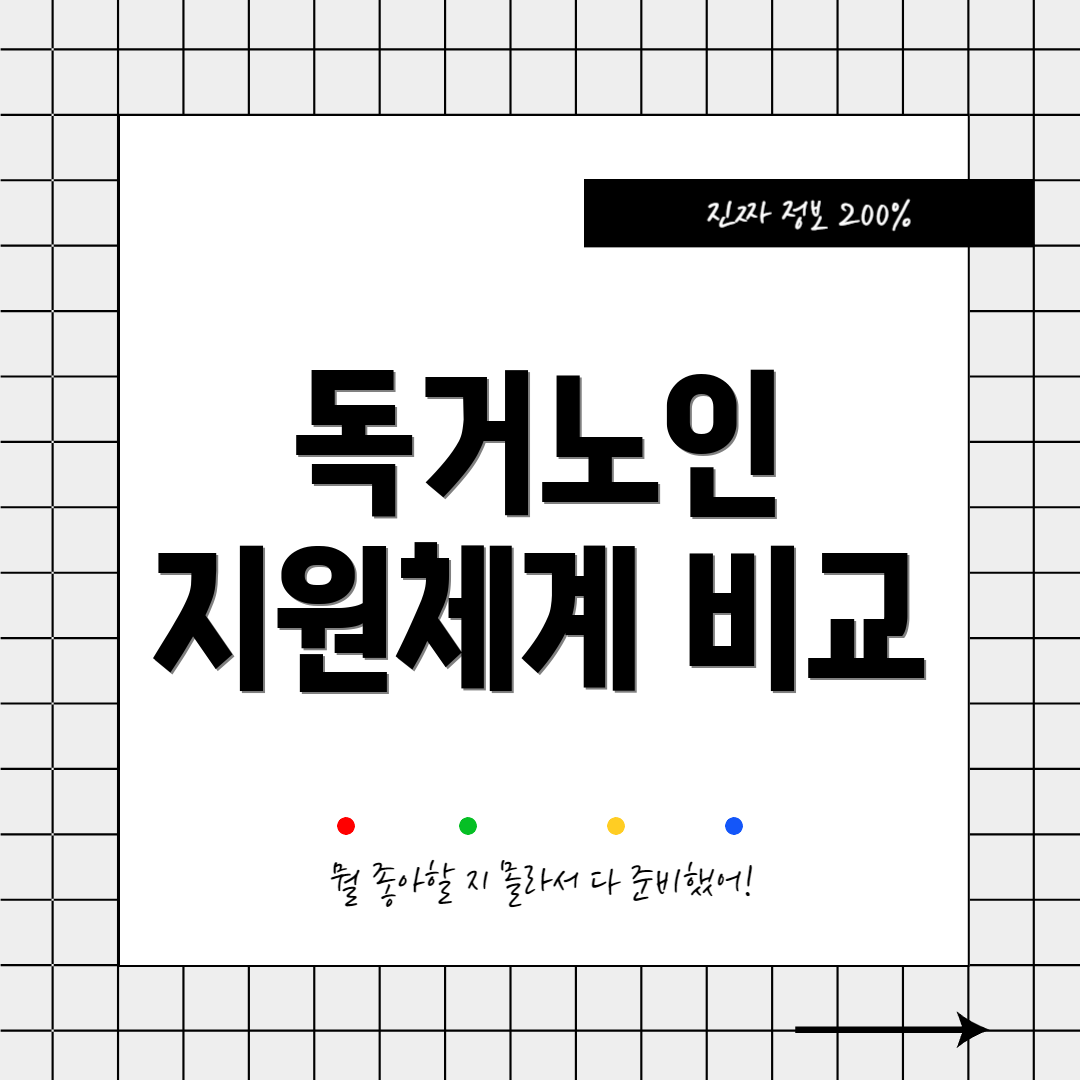 독거노인 지원체계 비교