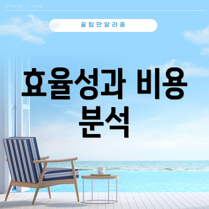 효율성과 비용 분석