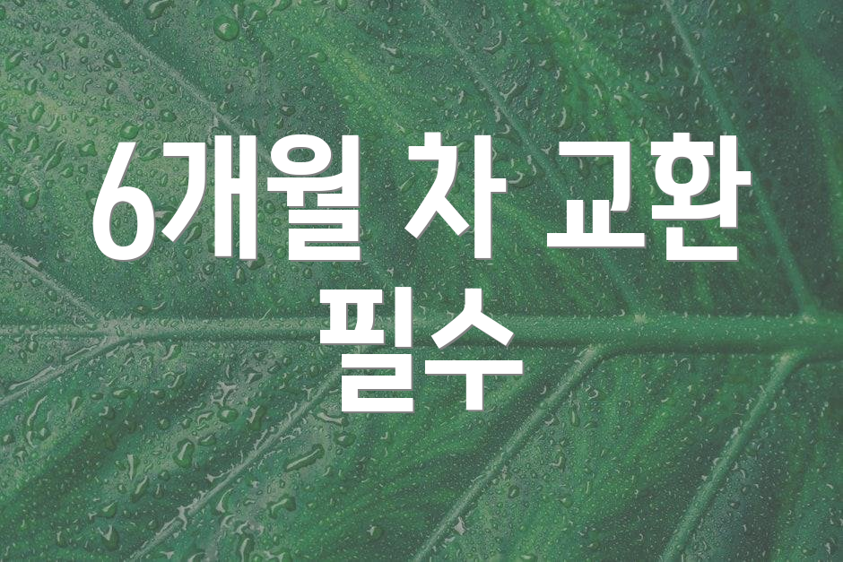 6개월 차 교환 필수