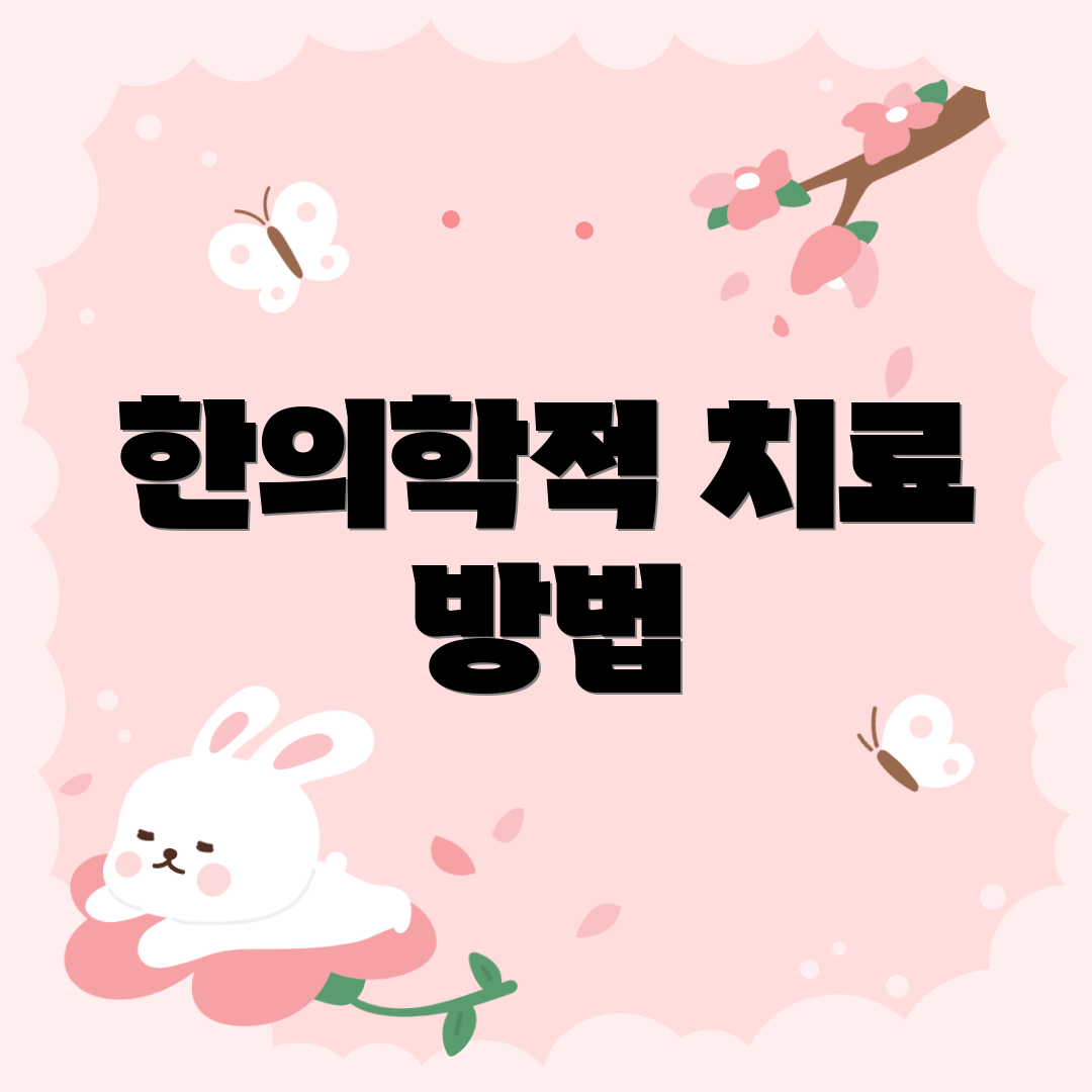 한의학적 치료 방법