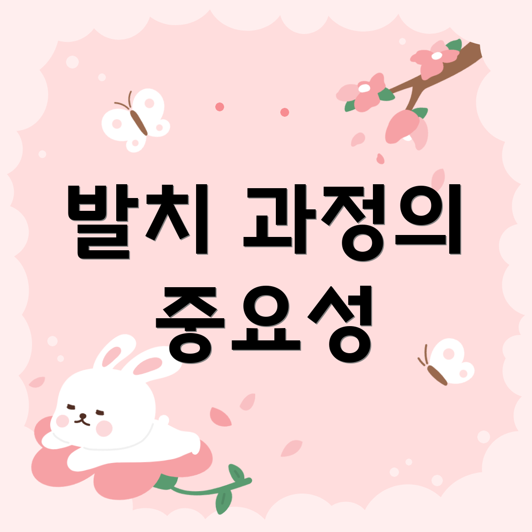 발치 과정의 중요성