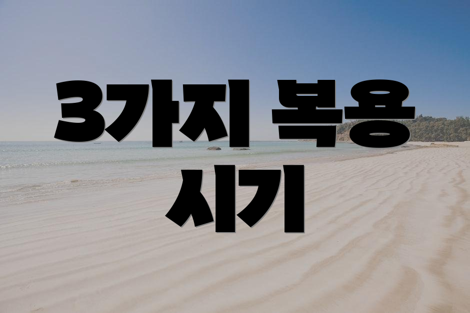3가지 복용 시기
