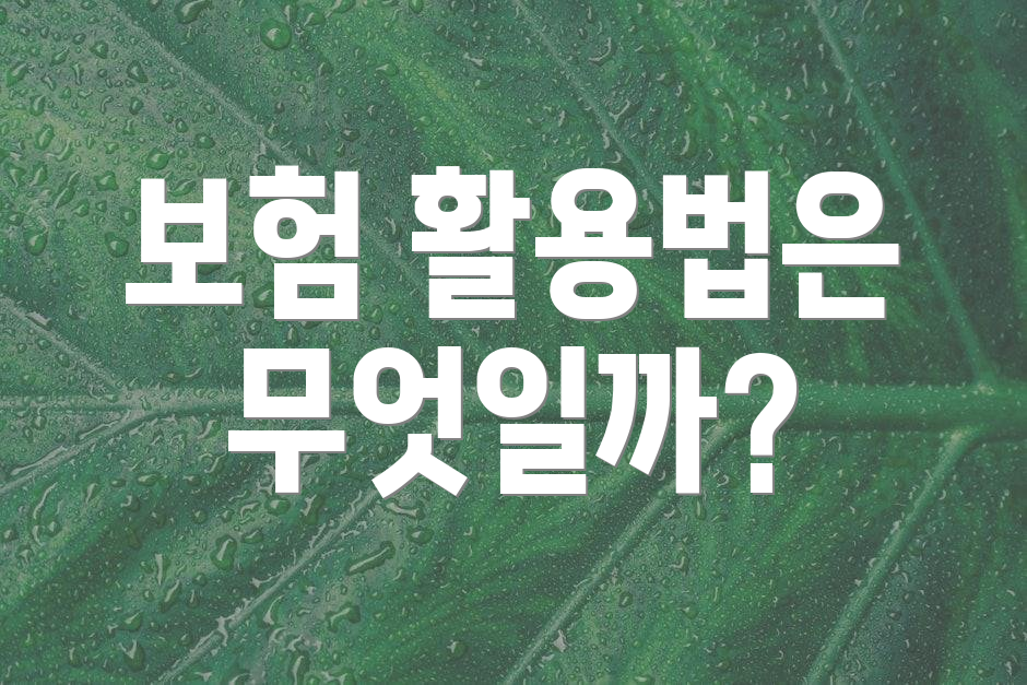 보험 활용법은 무엇일까?