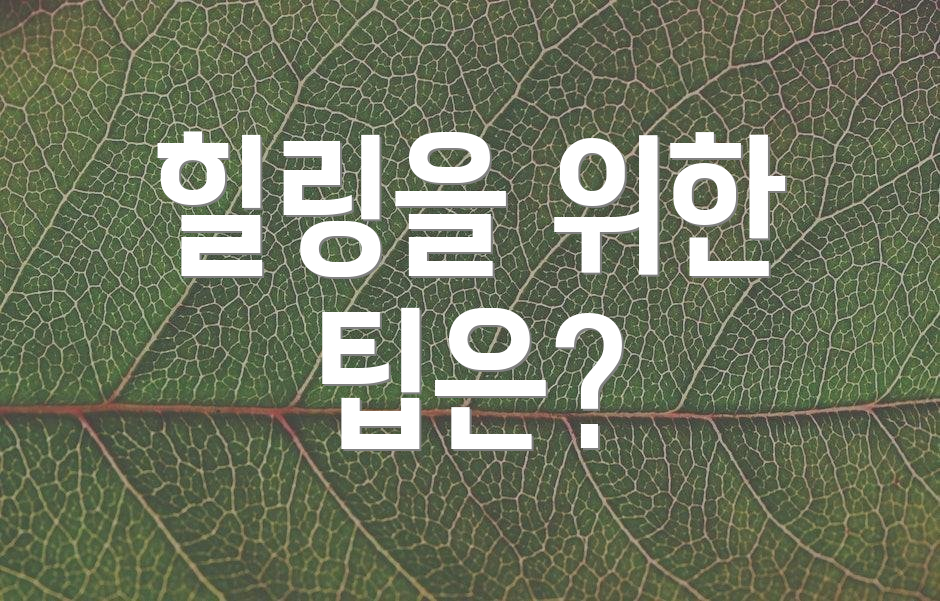 힐링을 위한 팁은?