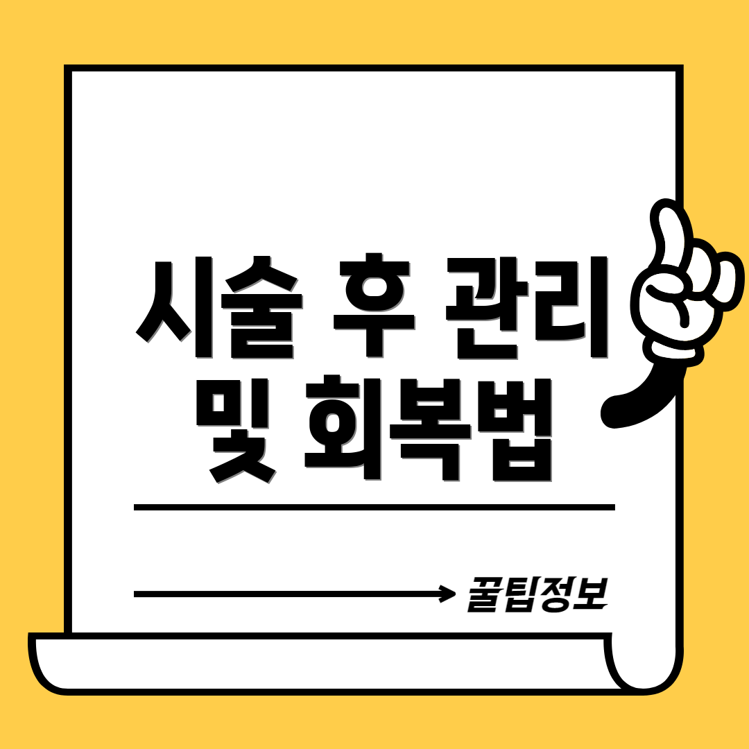 시술 후 관리 및 회복법