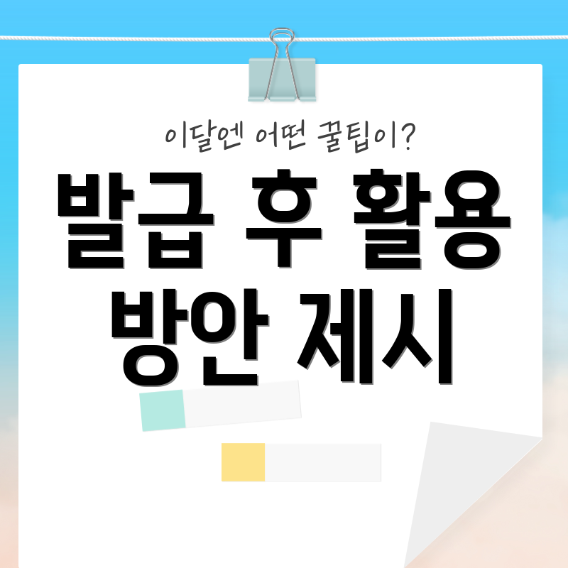 발급 후 활용 방안 제시