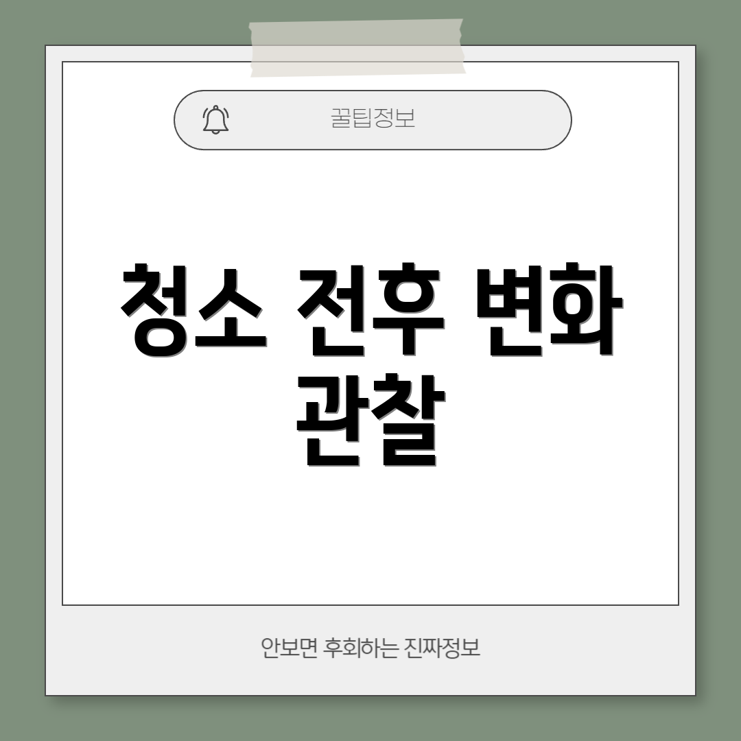 청소 전후 변화 관찰