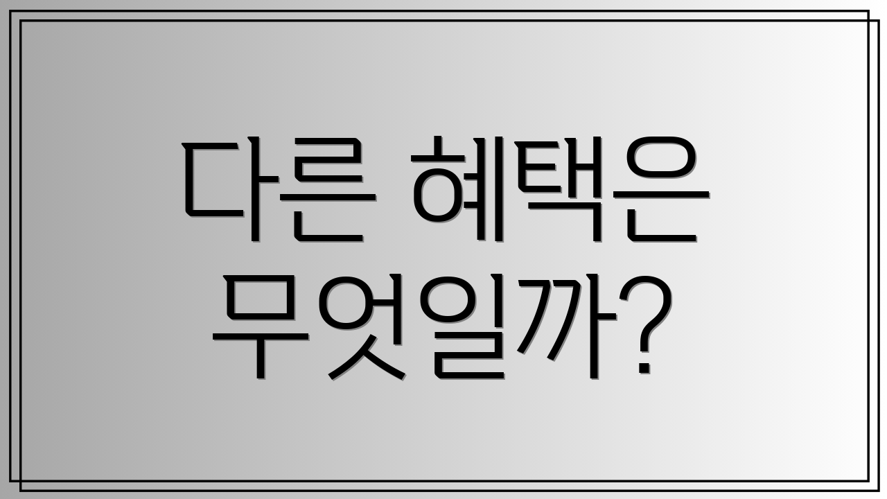 다른 혜택은 무엇일까?