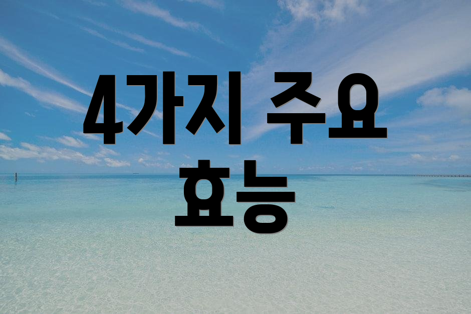 4가지 주요 효능