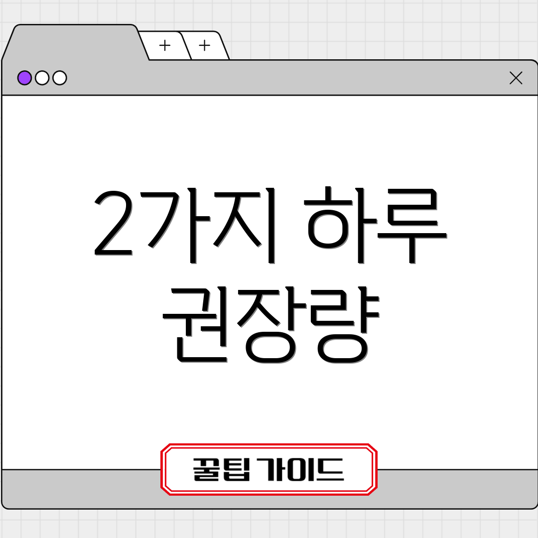 2가지 하루 권장량