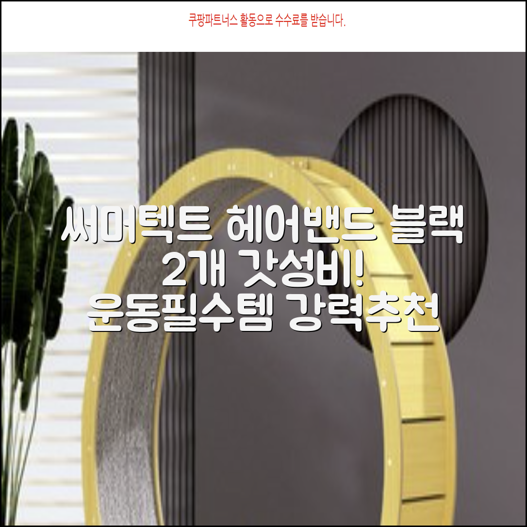 써머텍트 기능성 헤어밴드, 블랙, 2개 추천 리뷰