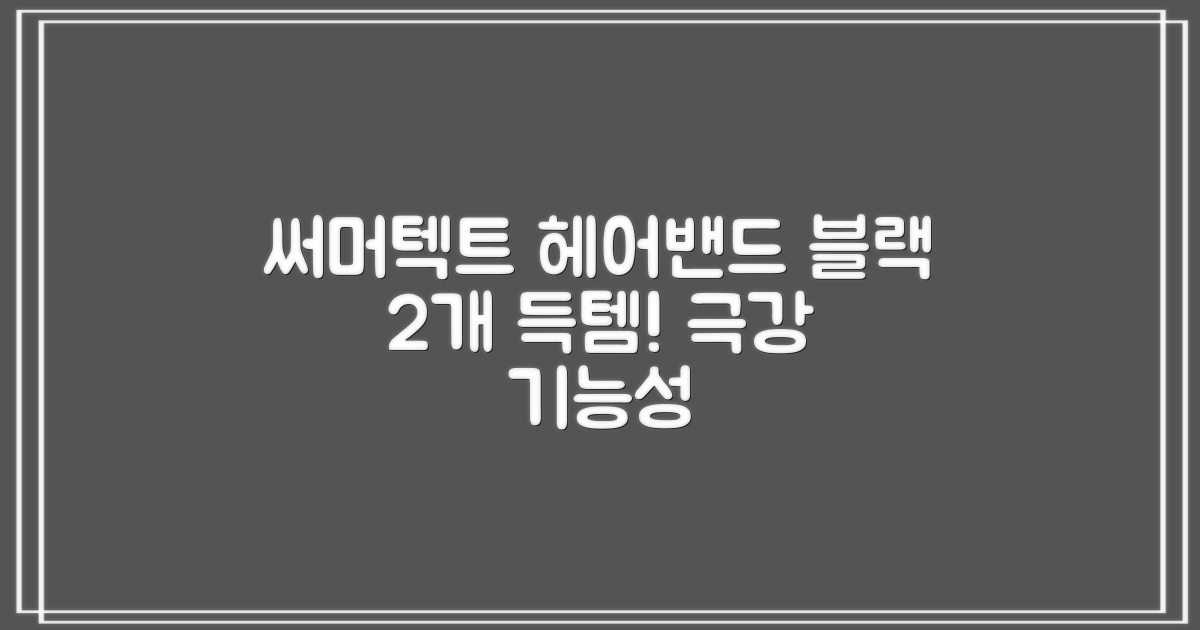 써머텍트 기능성 헤어밴드, 블랙, 2개 추천 리뷰