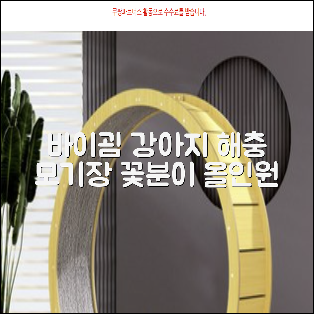 바이굄 강아지 해충 모기장 꽃분이 망사 올인원, 화이트, 1개 추천 리뷰