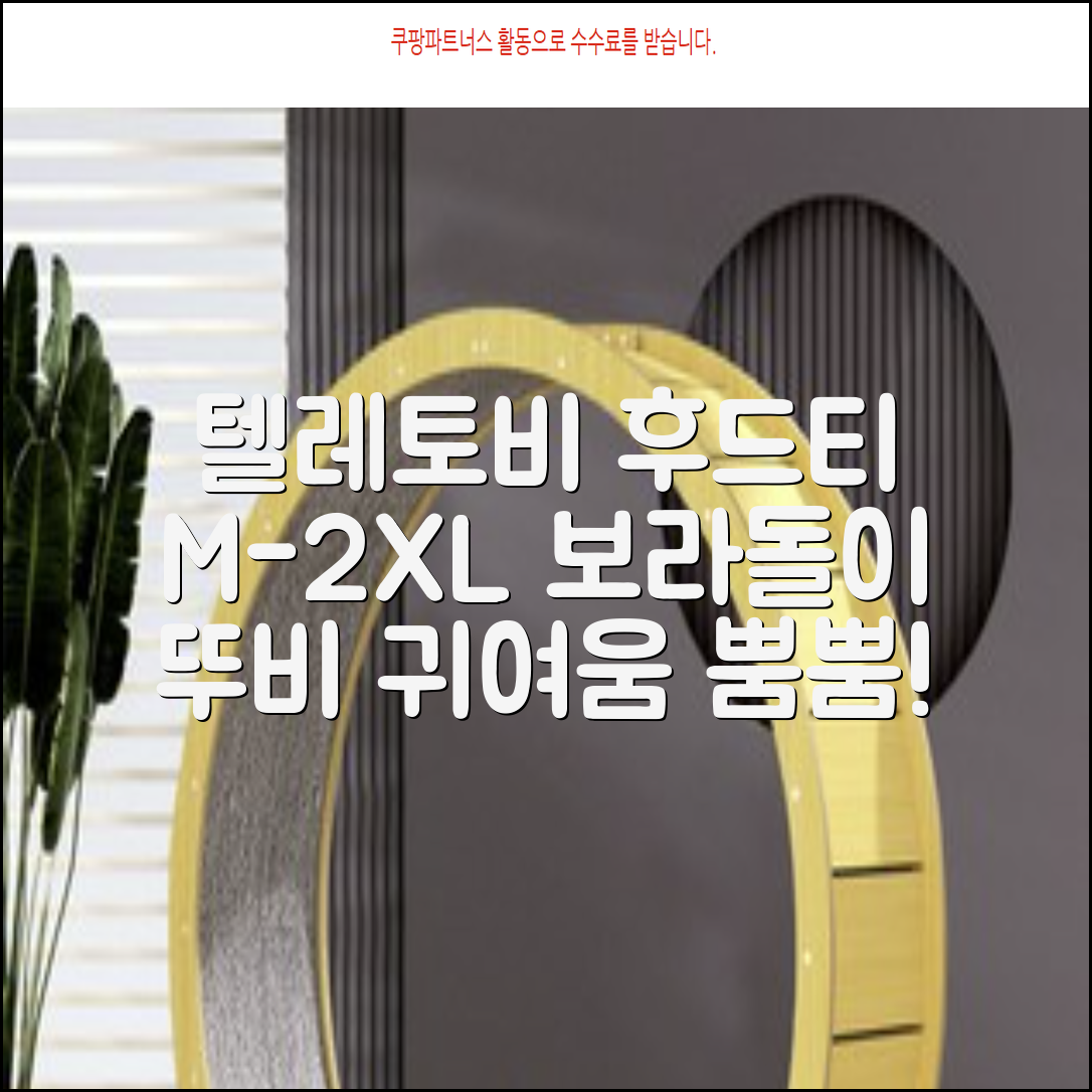 텔레토비 후드티 루즈핏 M~2XL 보라돌이 뚜비 나나 뽀 추천 리뷰