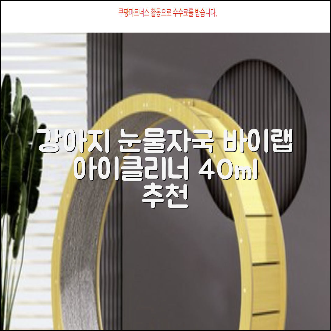 바이랩 강아지 눈물자국 눈 눈물냄새 세정 아이클리너, 40ml, 1세트 추천 리뷰