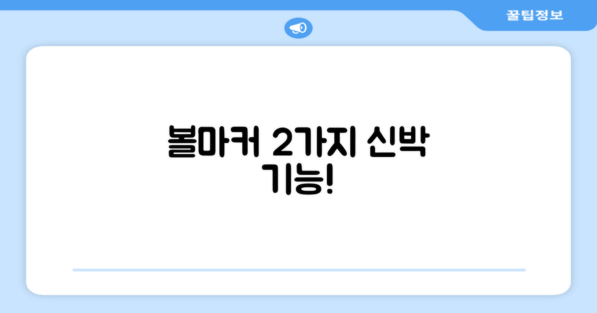 2가지 볼마커 기능