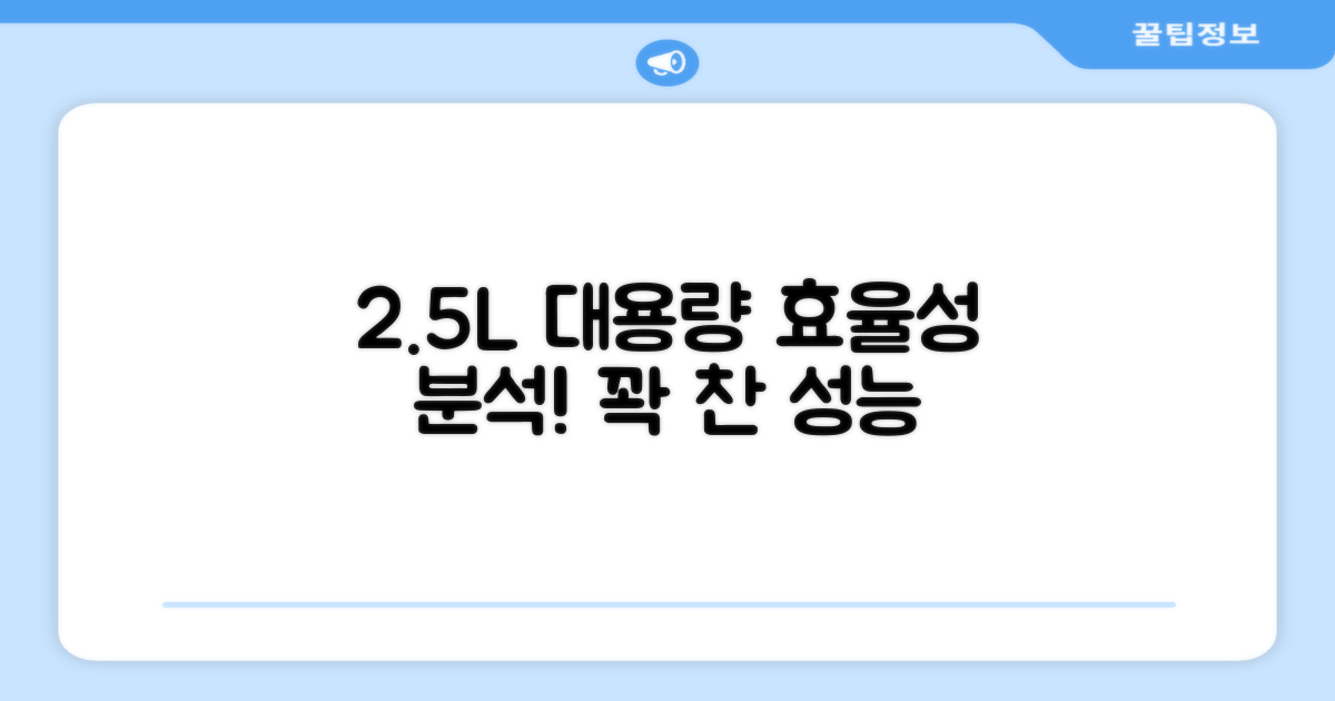 2.5L 용량, 효율성 분석