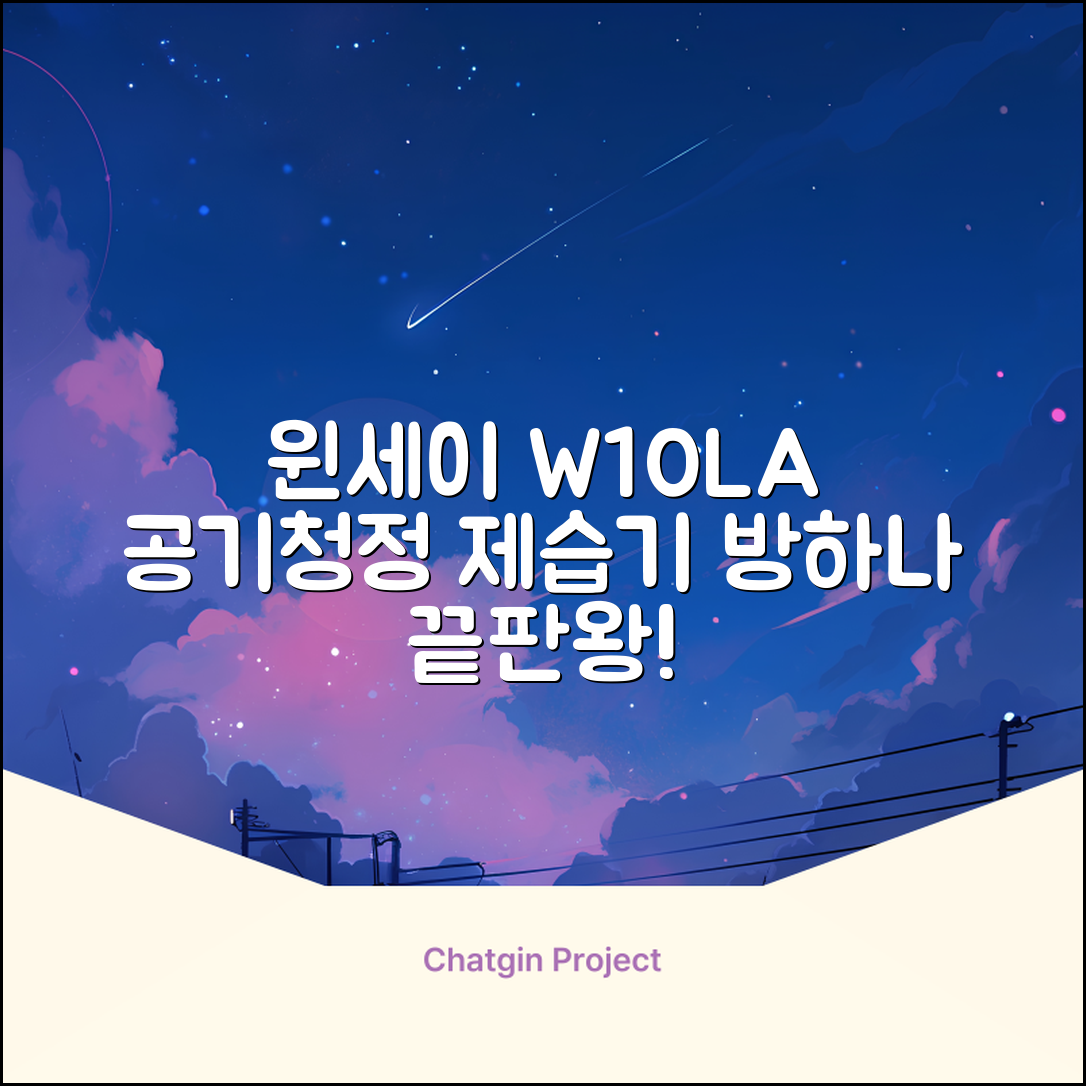 윈세이 인버터 방하나 공기청정 제습기 10L W10LA 추천 리뷰
