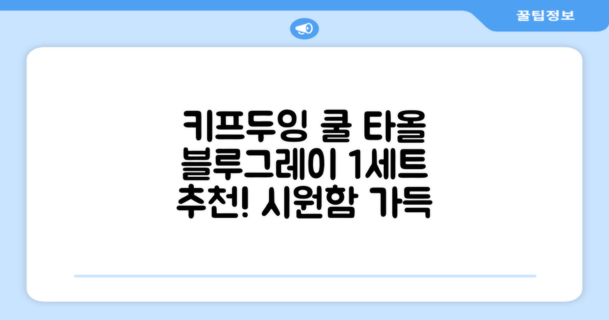 키프두잉 건식 스포츠 쿨 타올 케이스, 블루 + 그레이, 1세트 추천 리뷰