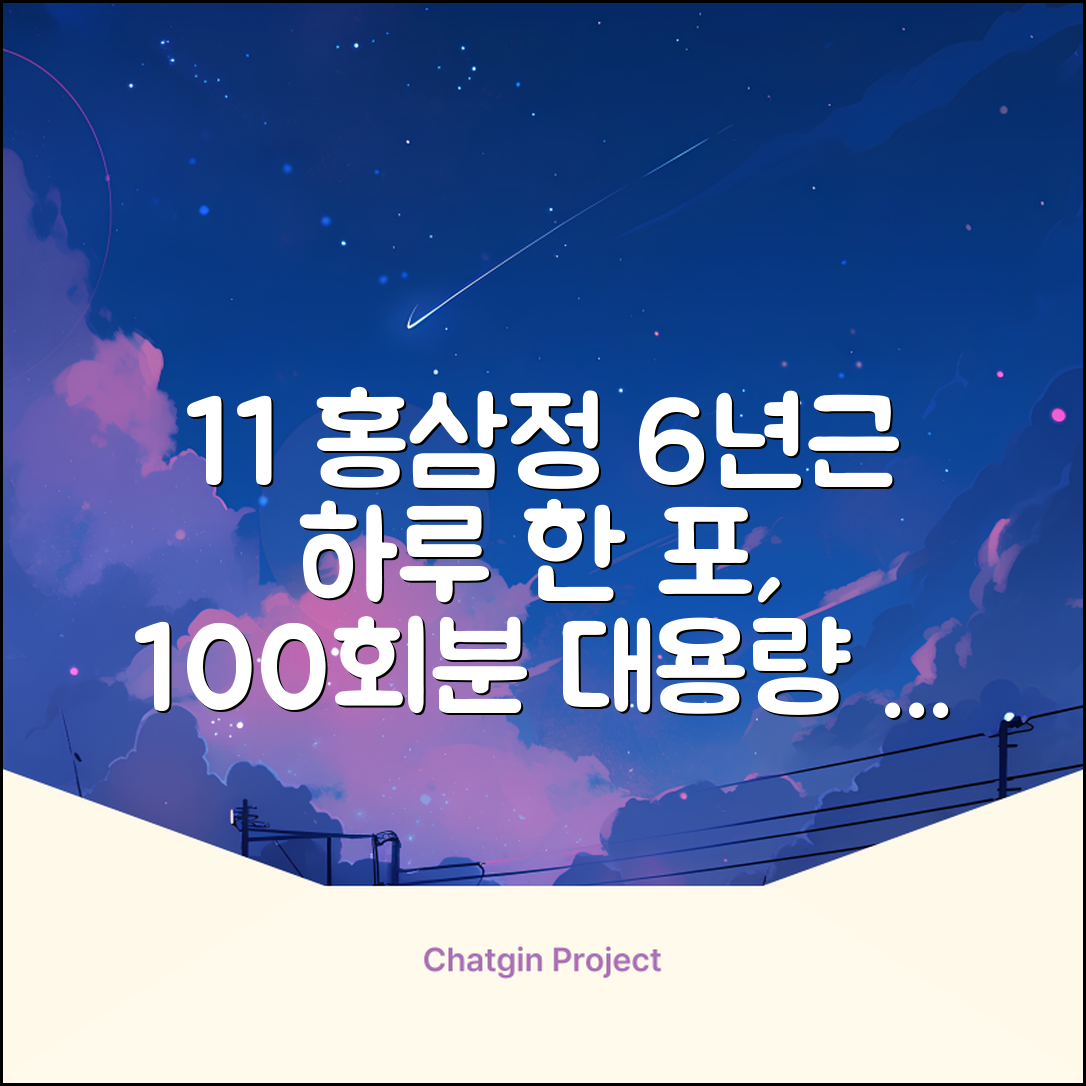 [1+1 특가] 홍삼정 6년근 하루한포 100회분 대용량+쇼핑백, 2개, 1L 추천 리뷰