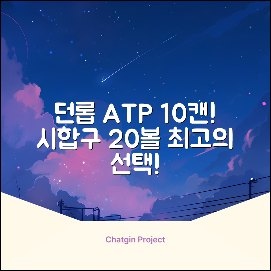2025 던롭 ATP 테니스공 10캔 (20볼) 시합구, 던롭 ATP볼 10캔 (20볼), 10세트 추천 리뷰