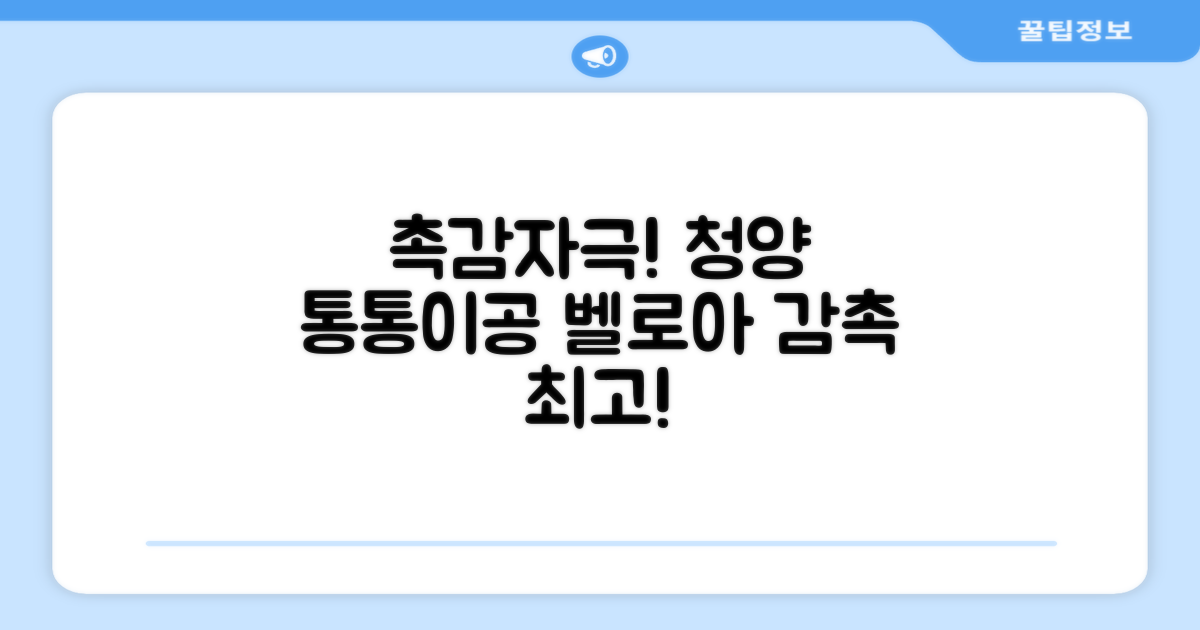 청양 통통이공/ 소리나는 촉감자극공 벨로아 소재, 통통이공-대, 1개 추천 리뷰