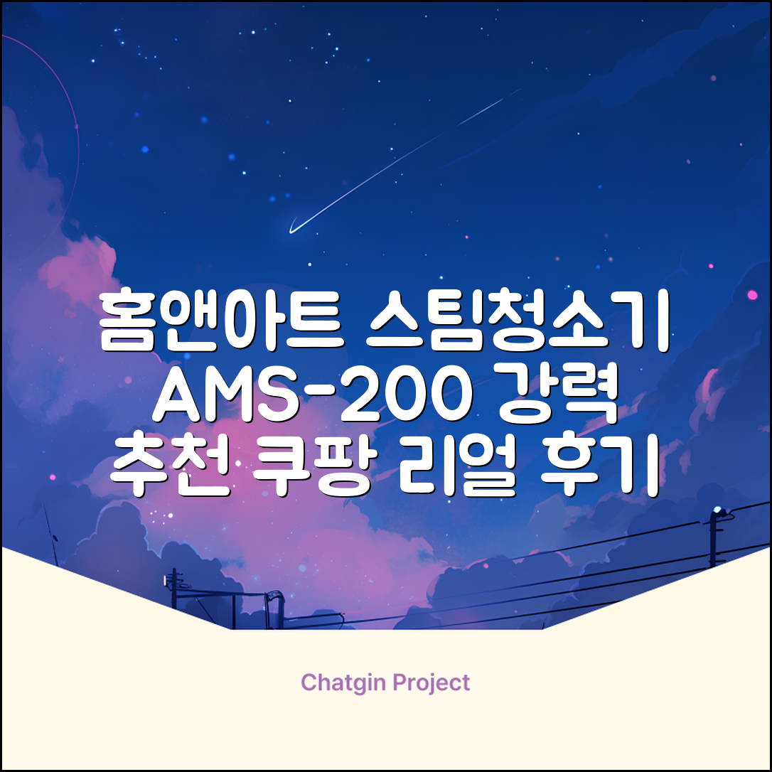 홈앤아트 퓨어 스팀청소기 AMS-200 추천 리뷰