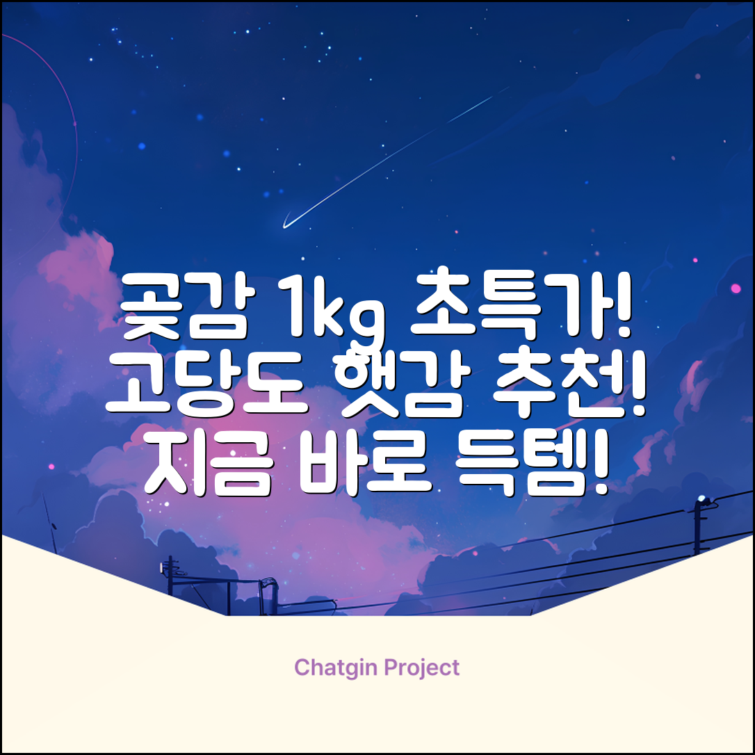 상주 곶감 초특가 1kg 고당도 햇감, 1개 추천 리뷰