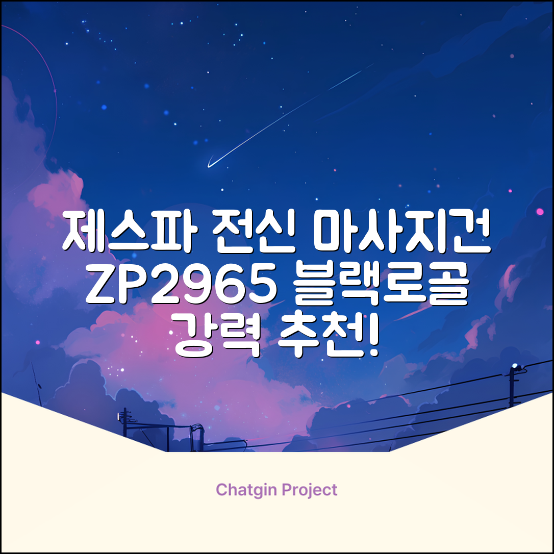 제스파 클래식 전신 무선 자동 마사지건 목어깨 안마기 ZP2965, 블랙 + 로즈골드 추천 리뷰