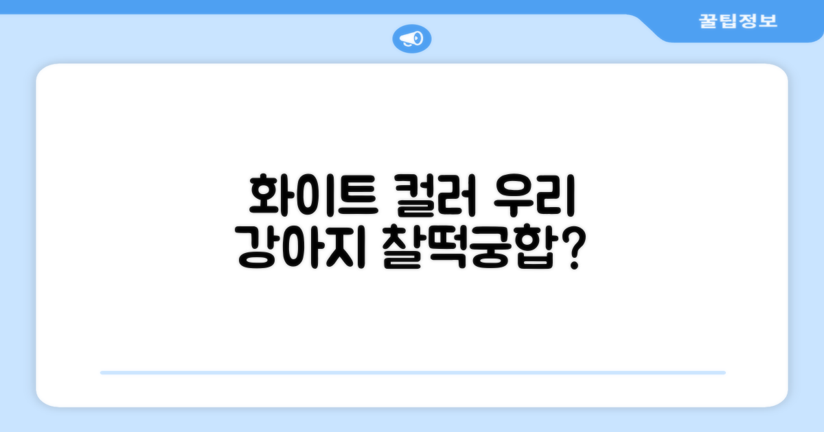 화이트 컬러, 우리 강아지에게 어울릴까?